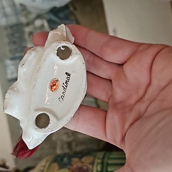 Red 🪭 CARDINAL bird 🌹 - Picture 7 of 10